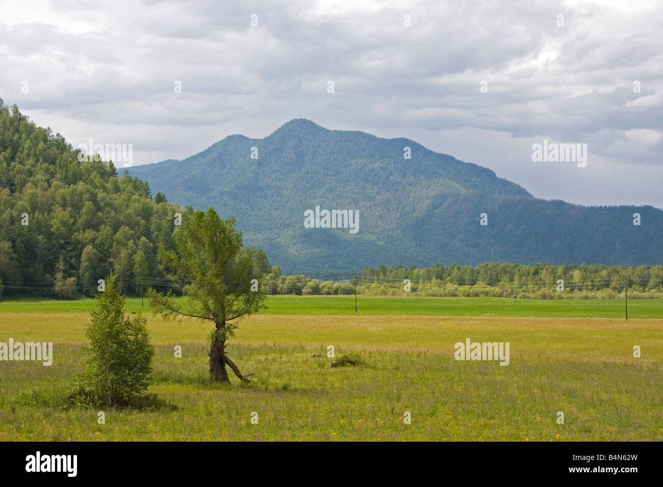 Altai landscape in summer day Stock Photo