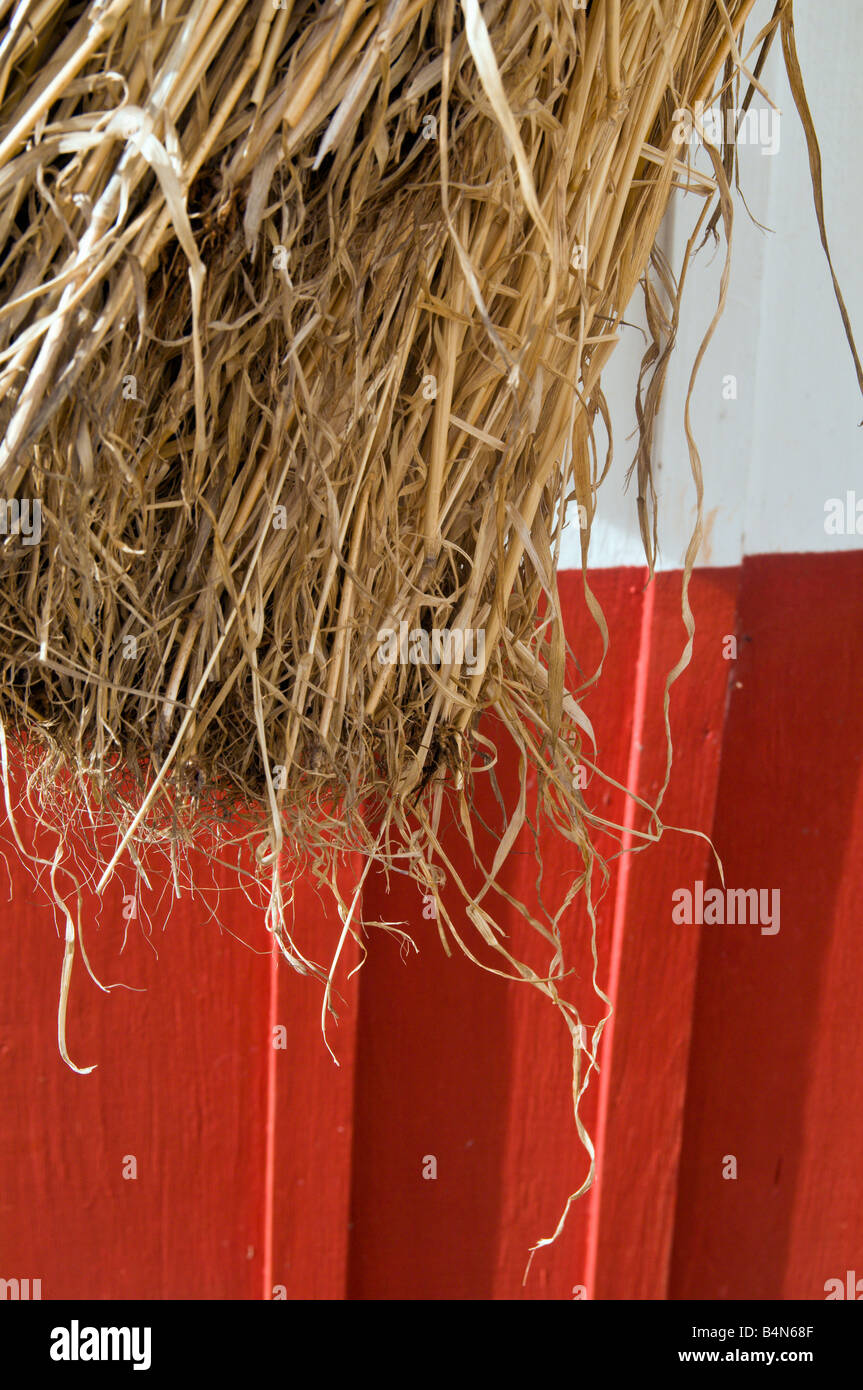 Detail of traditional thatched house at Santana Madeira Stock Photo