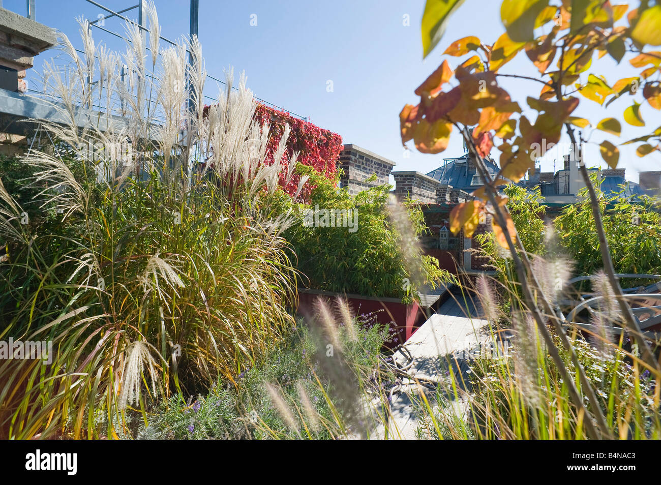 Dachgarten Rooftop Garden Stock Photo Alamy