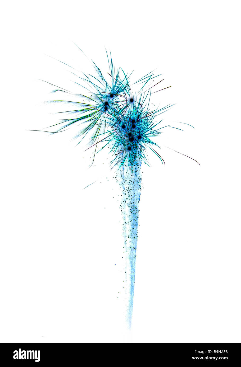 image of an explosion of a firework during a celebration Stock Photo