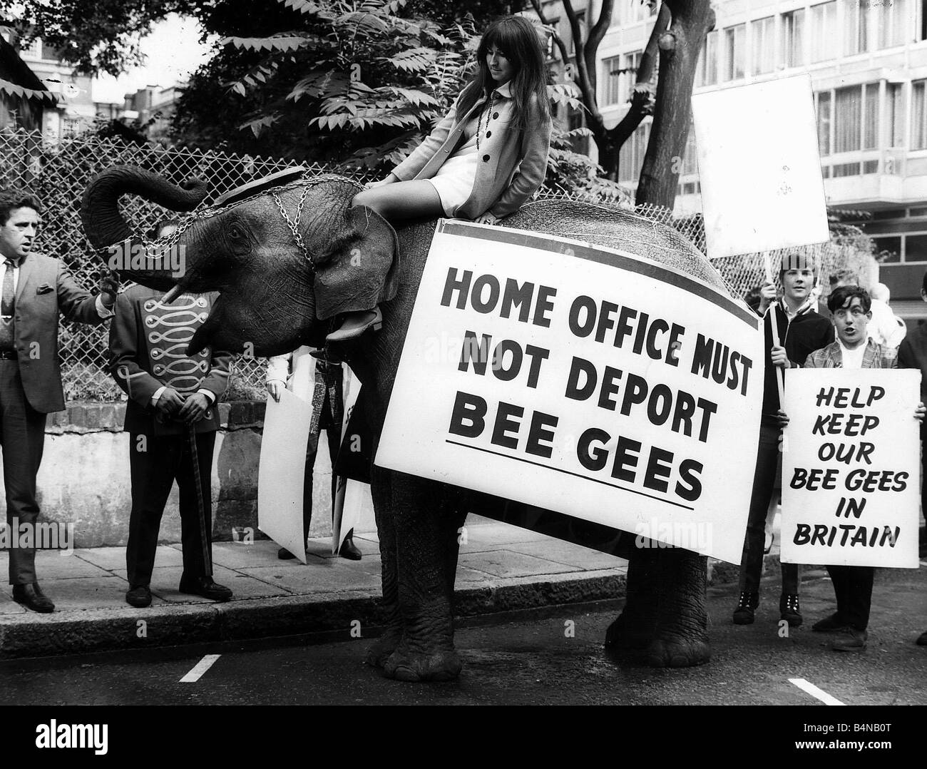 The Bee Gees pop group 1967 Elephant called Gilda and Pat Cameron with demonstrators Stock Photo