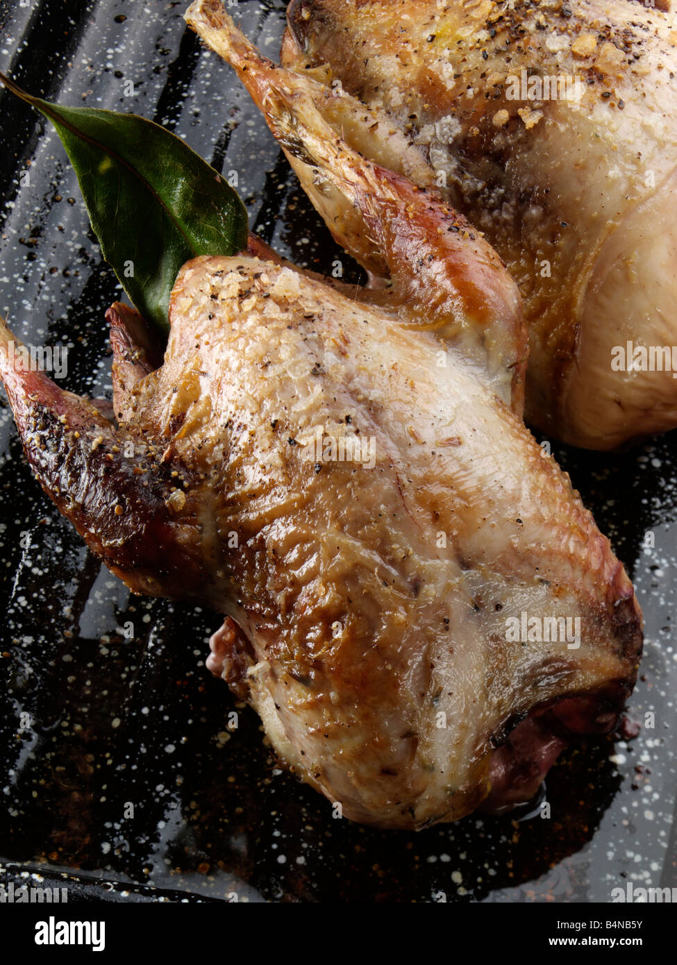 Roast partridge hi-res stock photography and images - Alamy