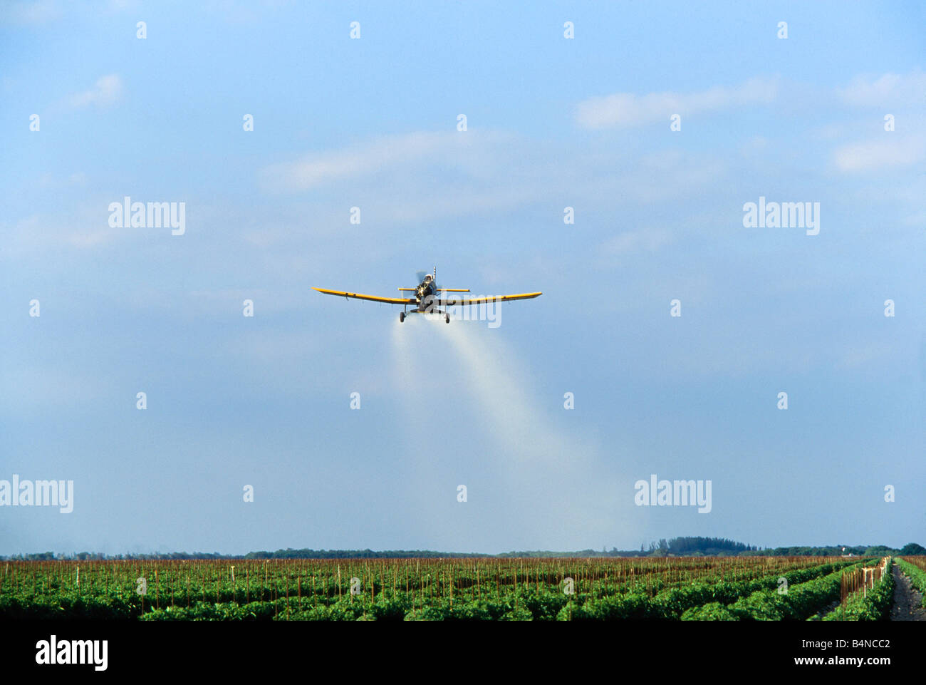 Crop duster airplane hires stock photography and images Alamy