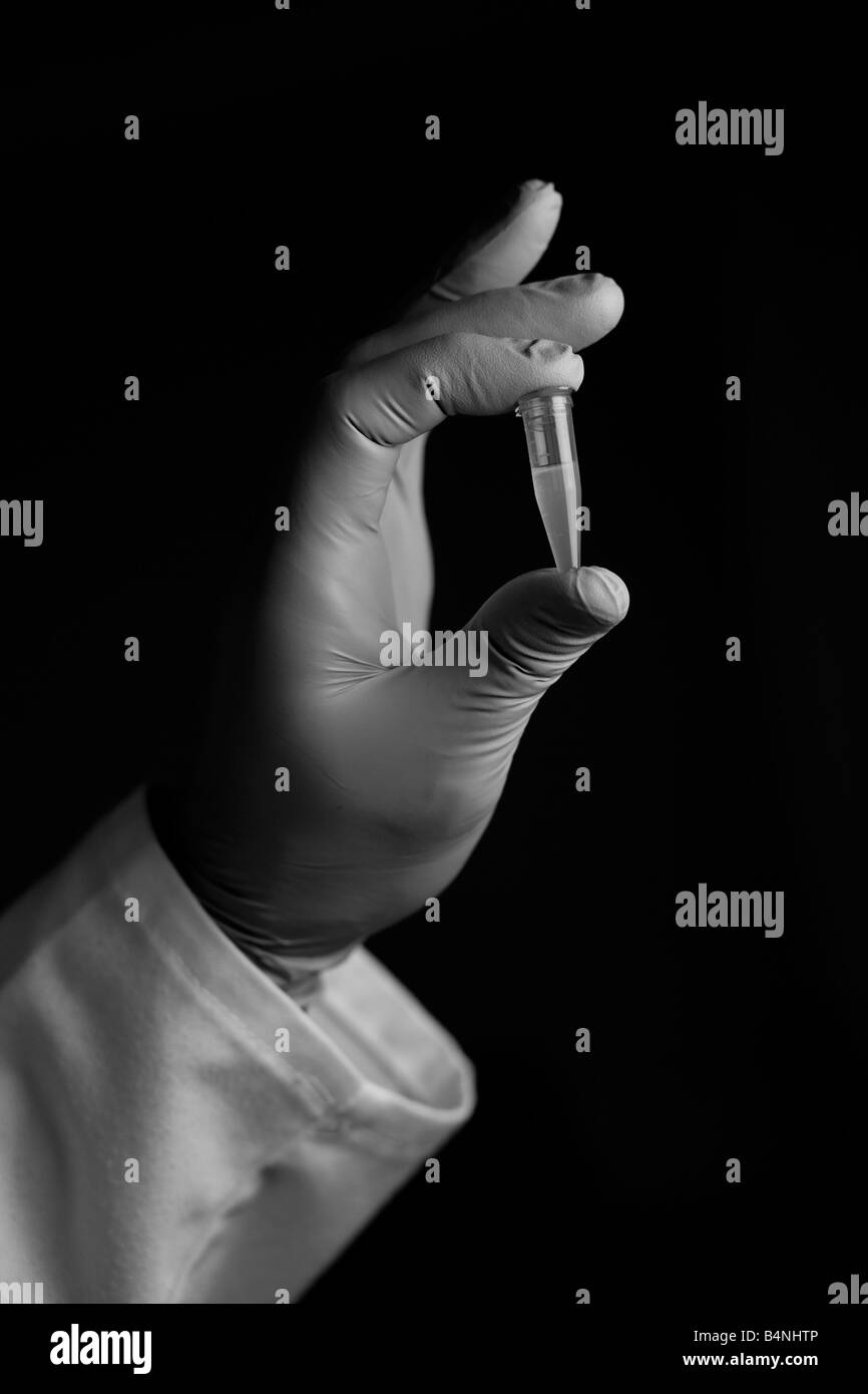 A lab technician holds a specimen tube Stock Photo Alamy