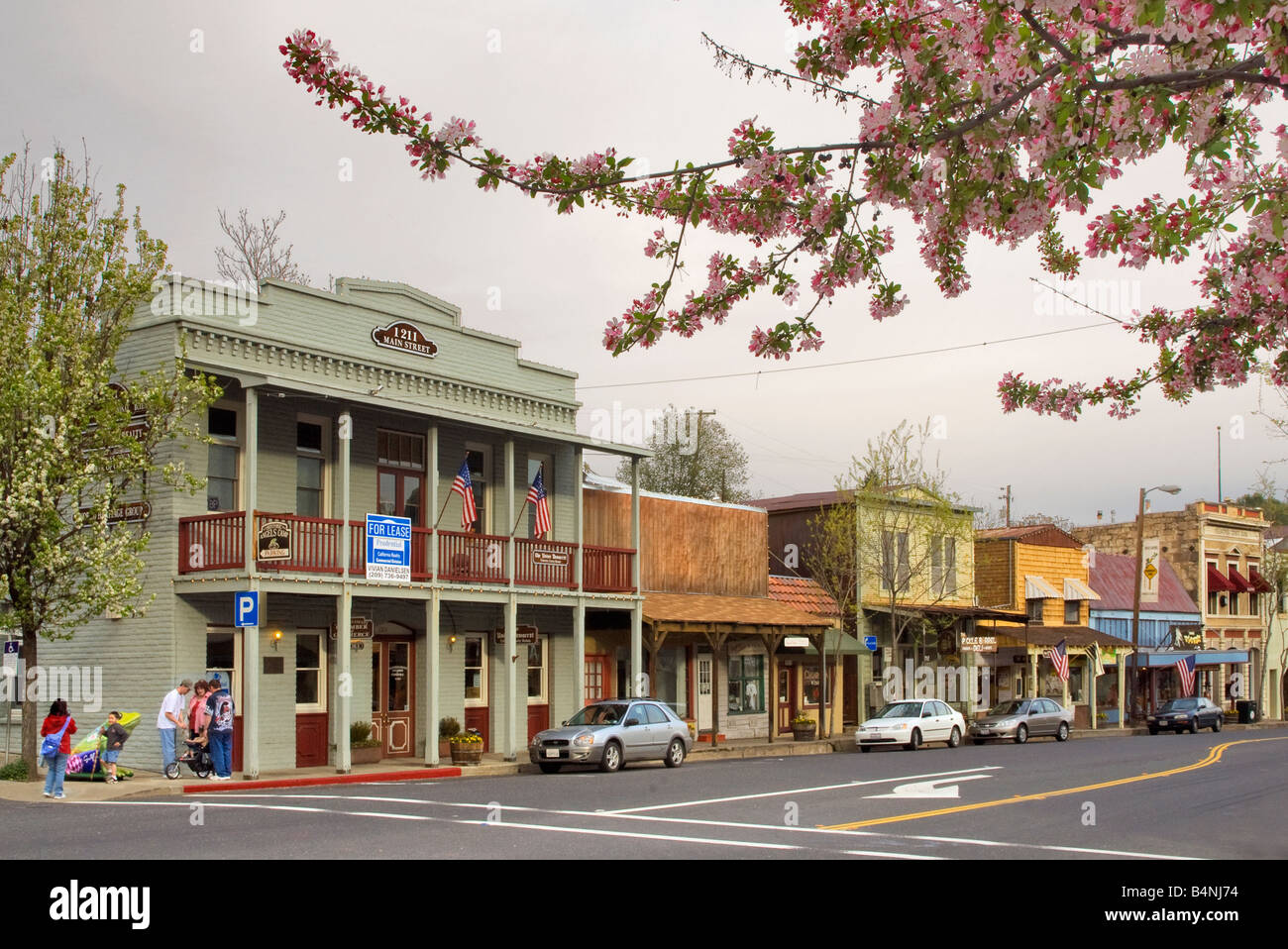 Historical buildings and blooming fruit tree on Main Street in Angels