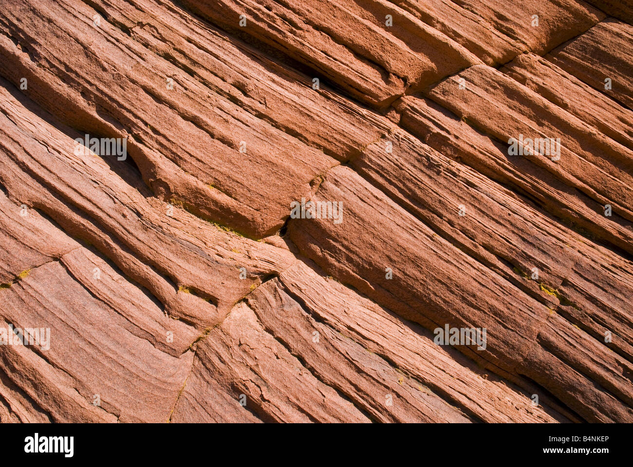 Details of sandstone rock Paria Canyon-Vermilion Cliffs Wilderness Stock Photo
