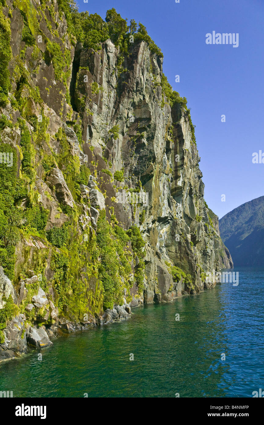 Sea cliff on the south bank of Milford Sound, South Island, New Zealand Stock Photo