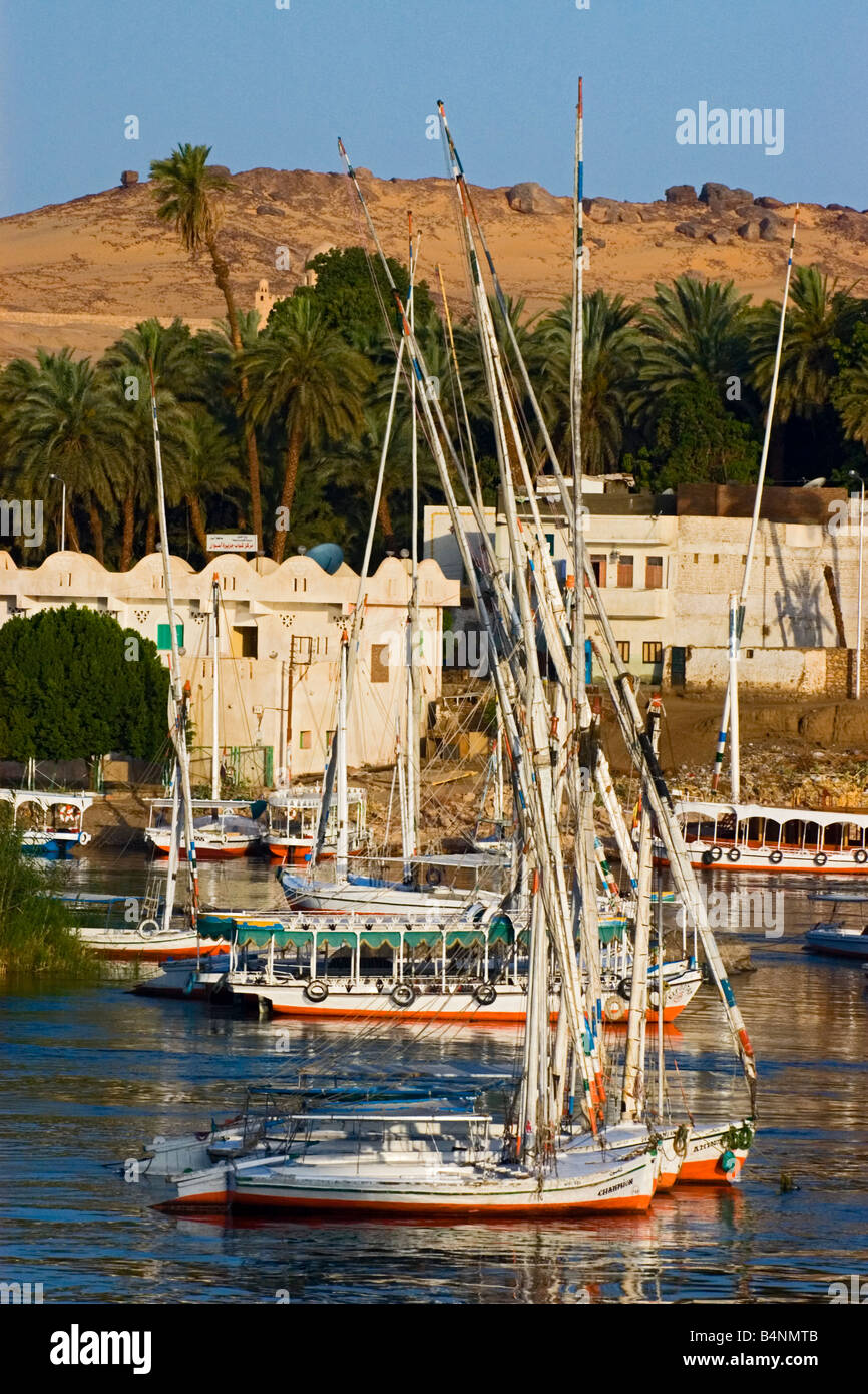 Feluccas along the Nile River Aswan Egypt Stock Photo - Alamy
