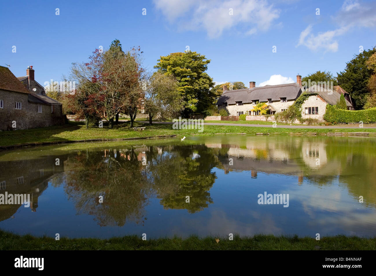 Ashmore Pond, a clay lined dew pond in the highest village in Dorset