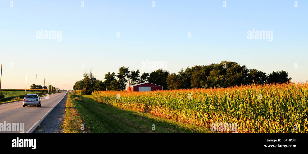 Highway country road in Illinois in farm country. Corn field in late