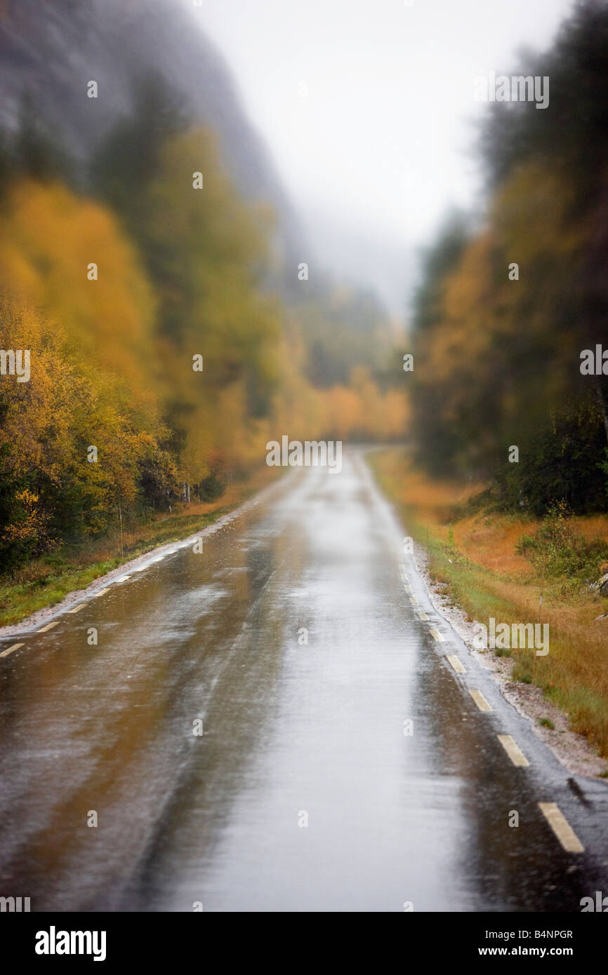 View of a wet road in Telemark Norway taken from a coach front window Stock Photo