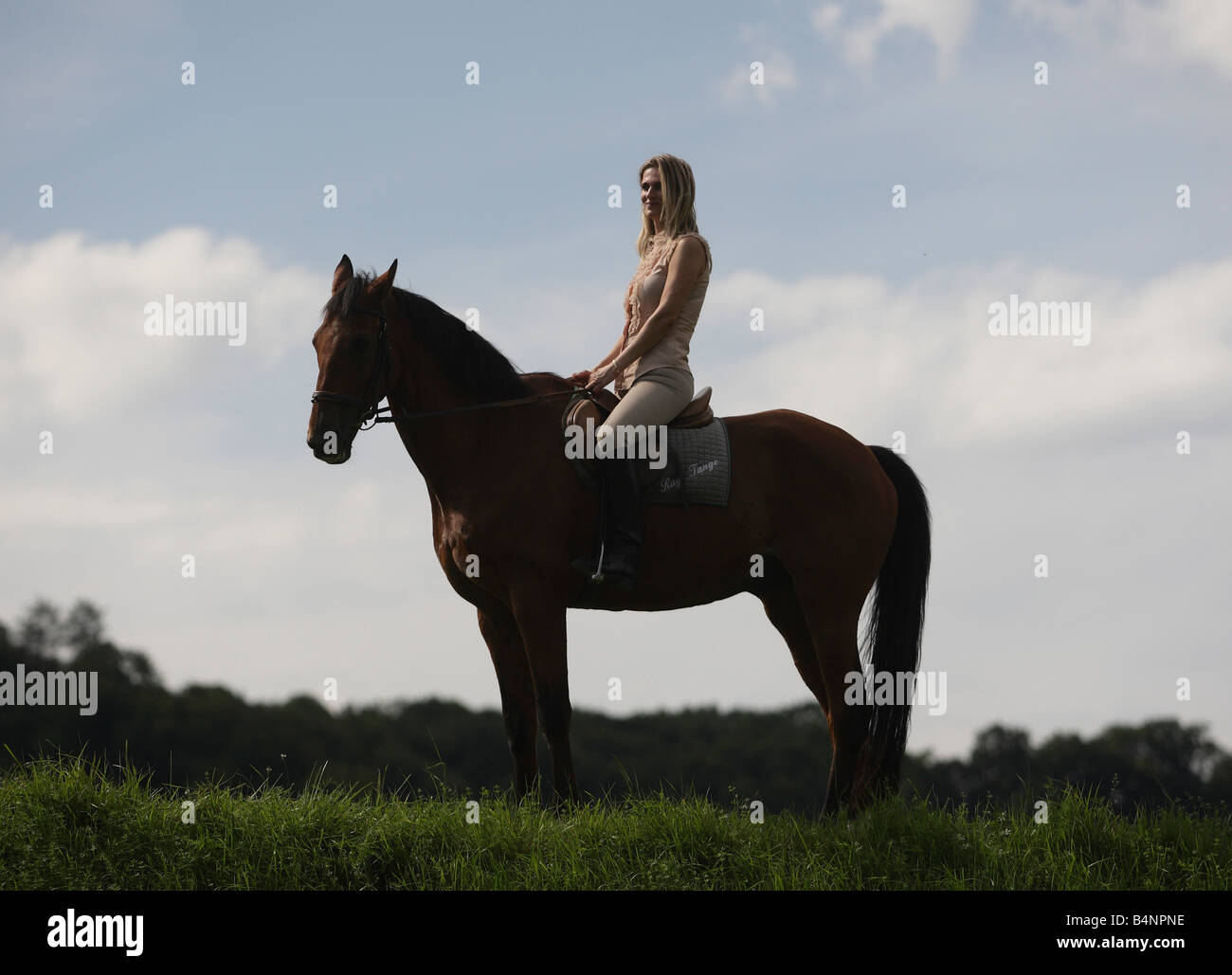sexy naked peoplr xnxx silhouette naked girl sitting in saddle