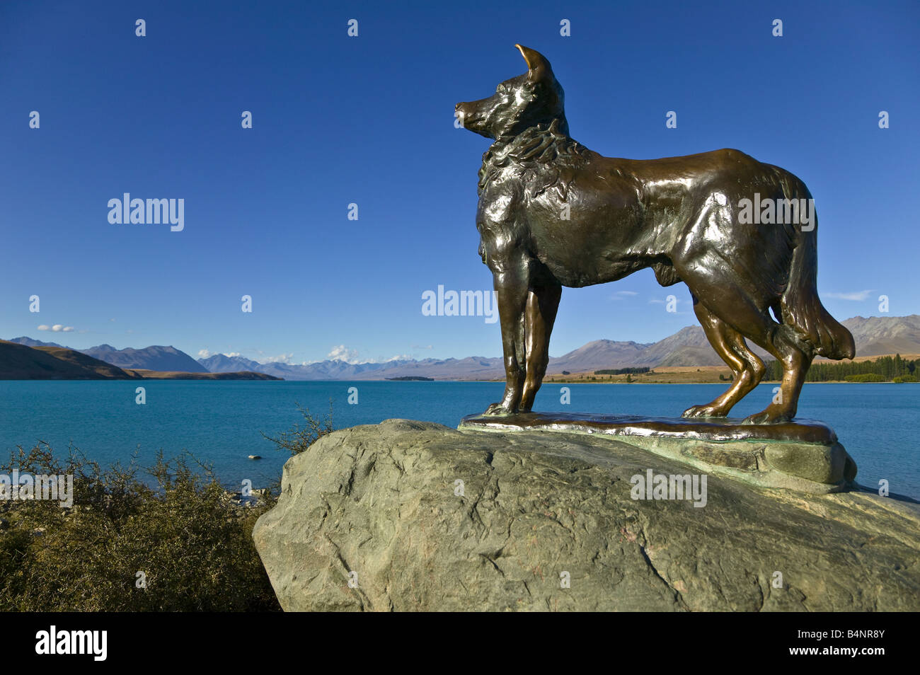 Mackenzie monument on the banks of Lake Tekapo, South Island, New Zealand Stock Photo