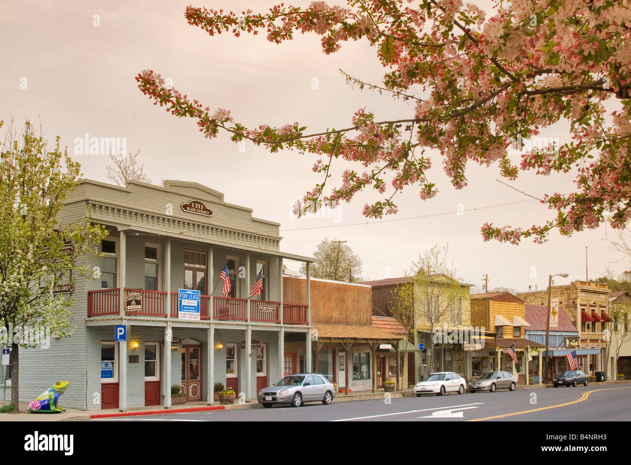 Historical buildings and blooming fruit tree on Main Street in Angels