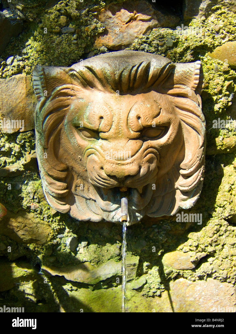 A lions head sculpture waterspout fountain mounted on a wall Stock Photo