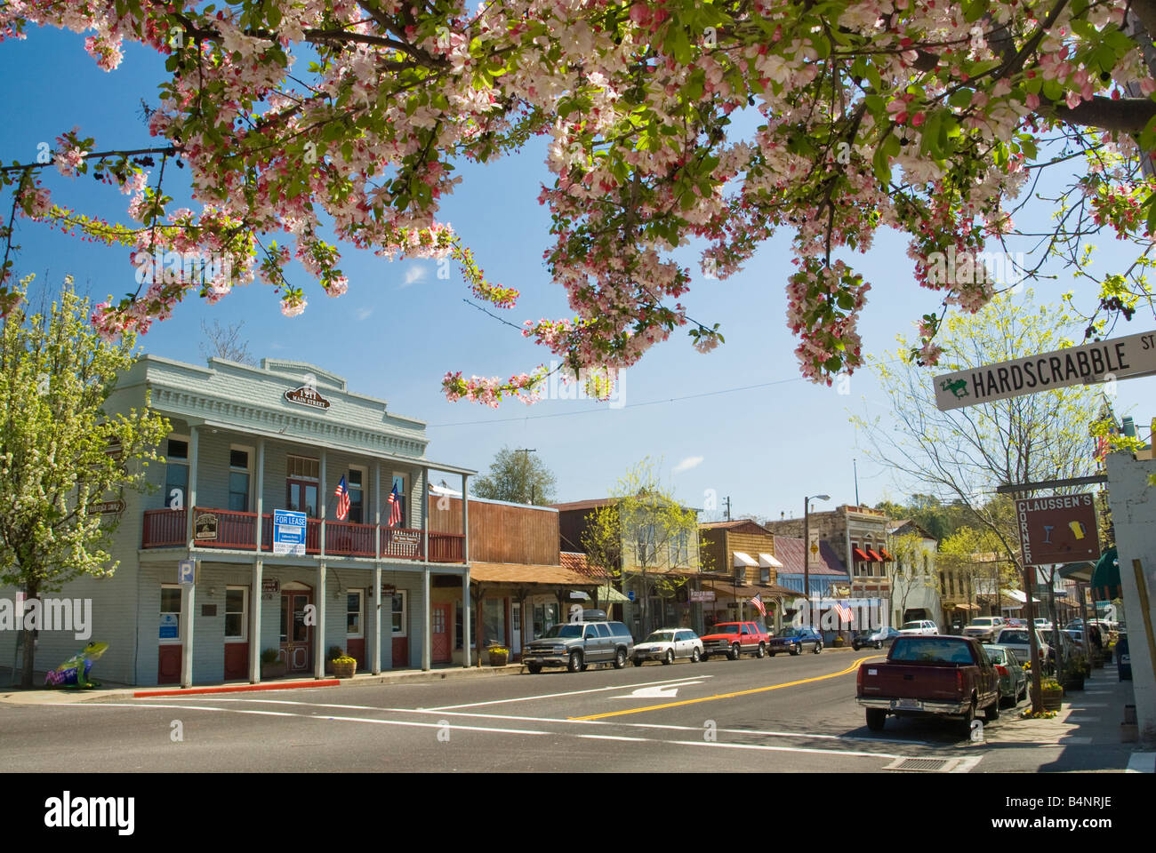Historical buildings and blooming fruit tree on Main Street in Angels Camp  in Gold Country California USA Stock Photo - Alamy