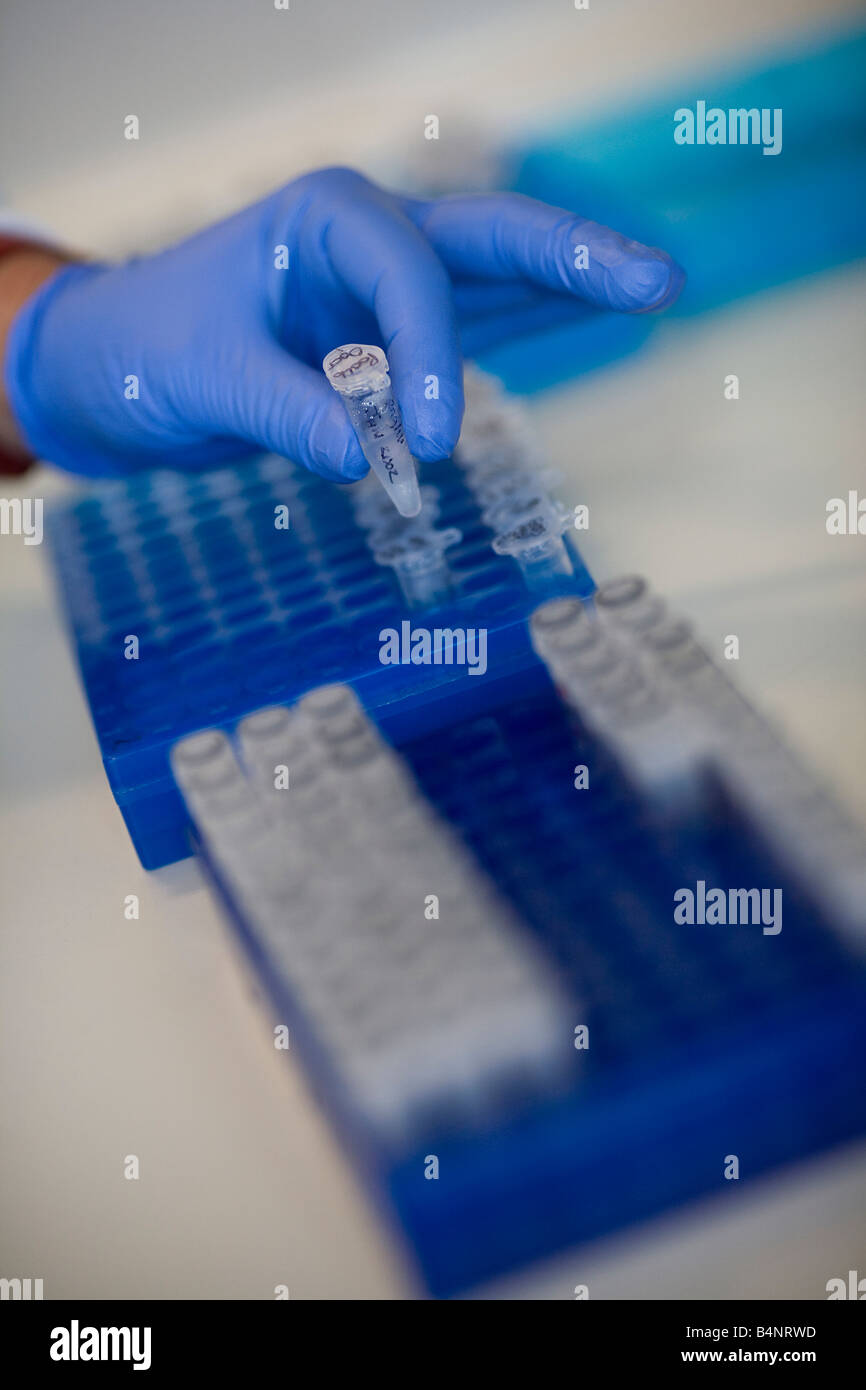 Specimen tube hires stock photography and images Alamy