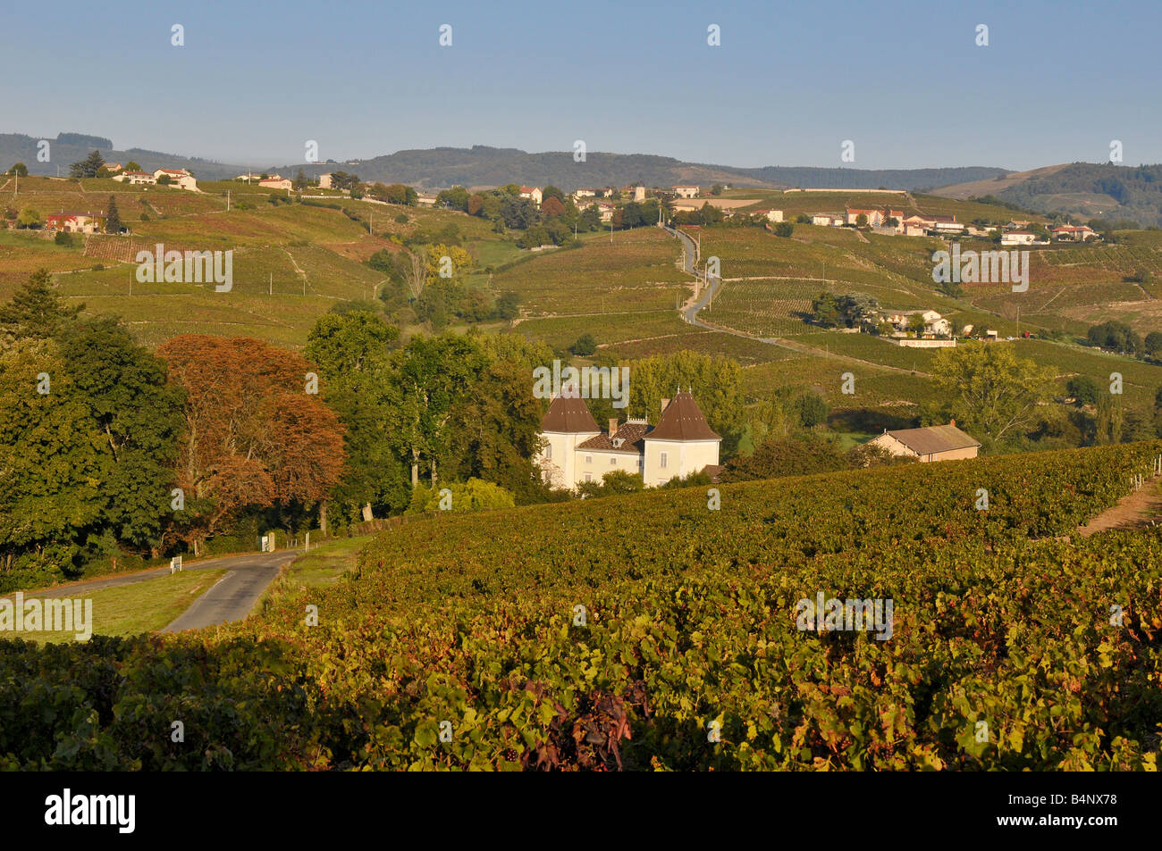 Beaujolais landscape  near Chiroubles, France Stock Photo