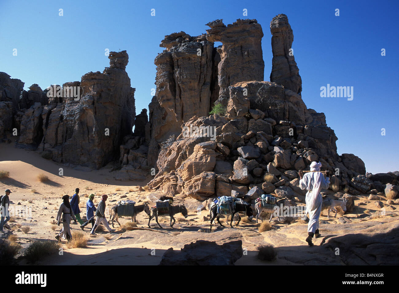 plateau desertique du sahara algerien en 7 lettres