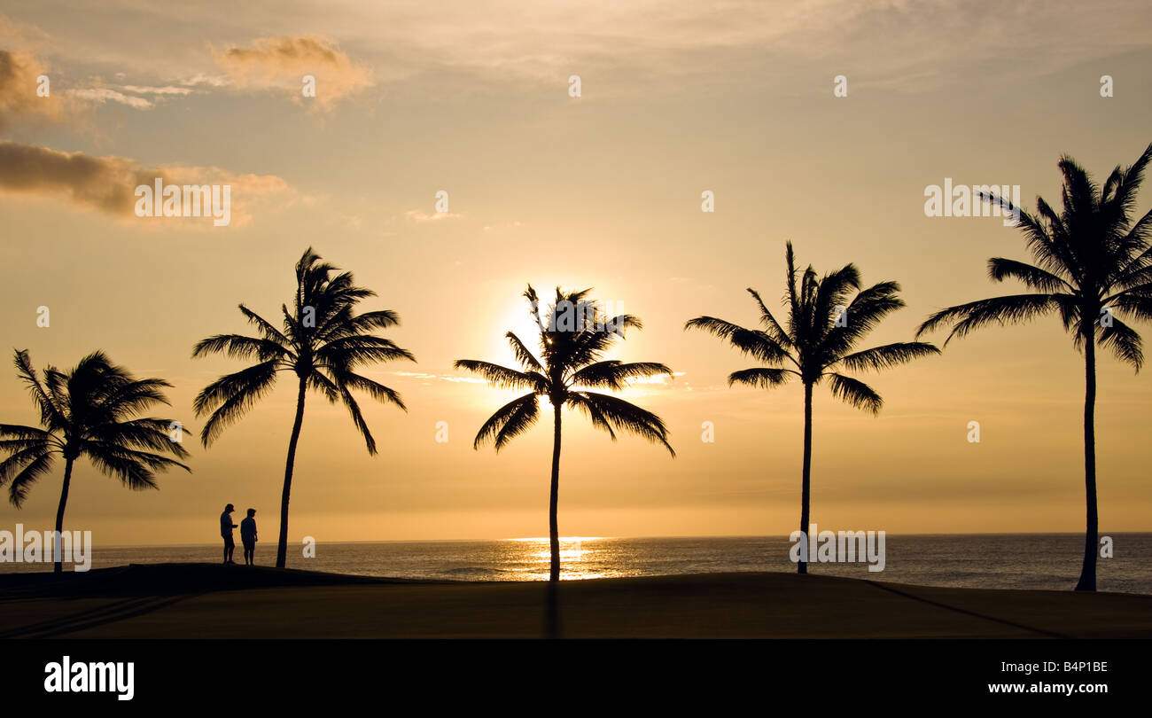 Hawaii sunset palm trees red hi-res stock photography and images - Alamy