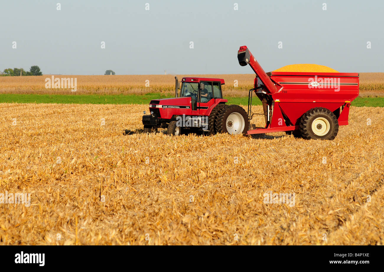 A farm tractor hauling a grain wagon during harvest time. The wagon takes the harvested corn from the combine in the field. Stock Photo