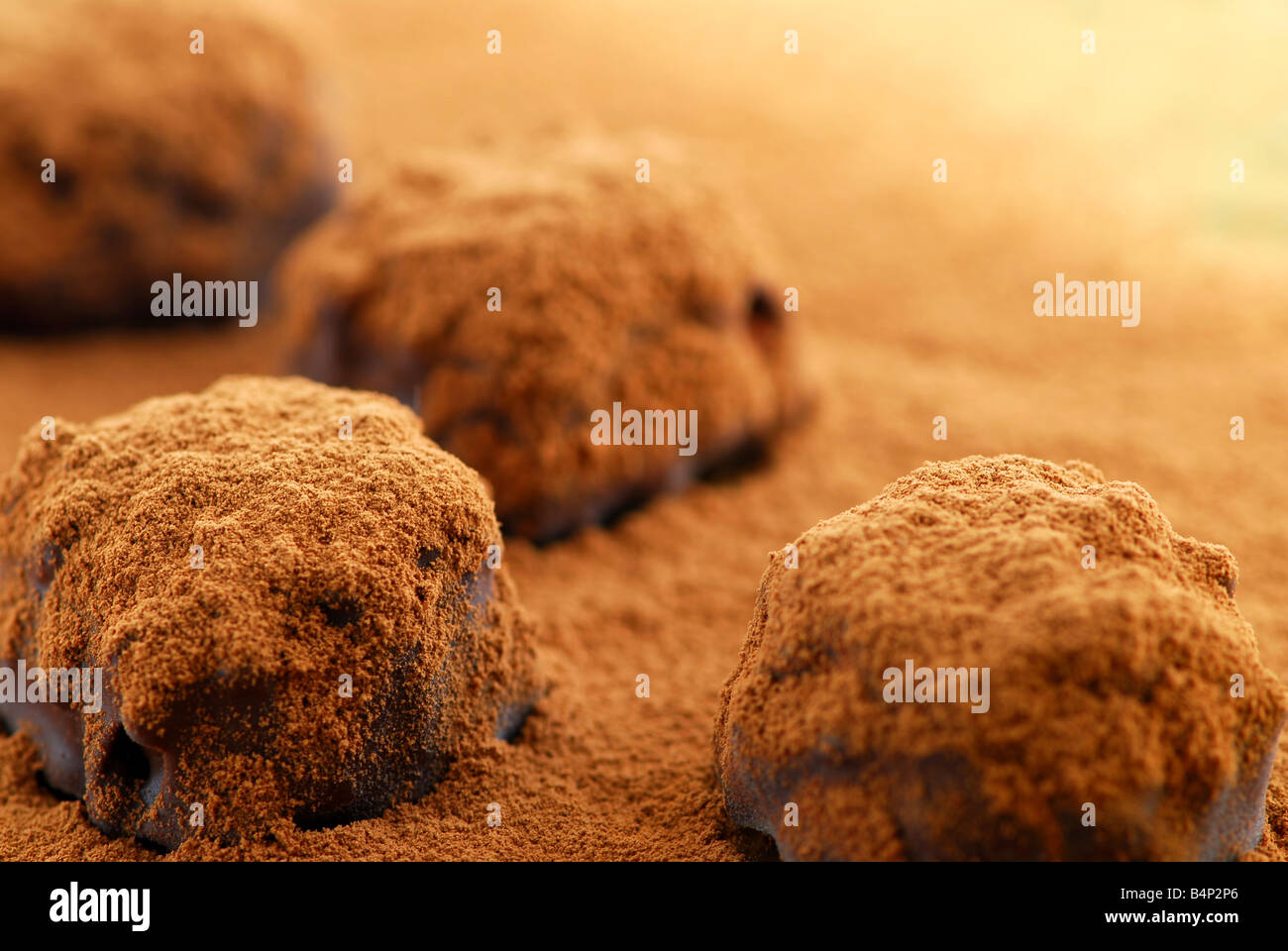 Macro of dark chocolate truffles sprinkled with cocoa powder with copy space Stock Photo