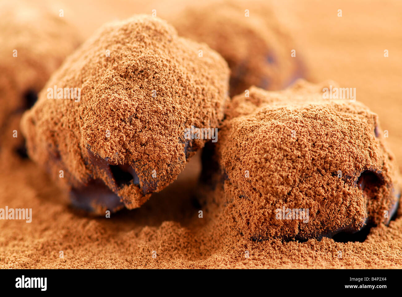 Macro of dark chocolate truffles sprinkled with cocoa powder Stock Photo