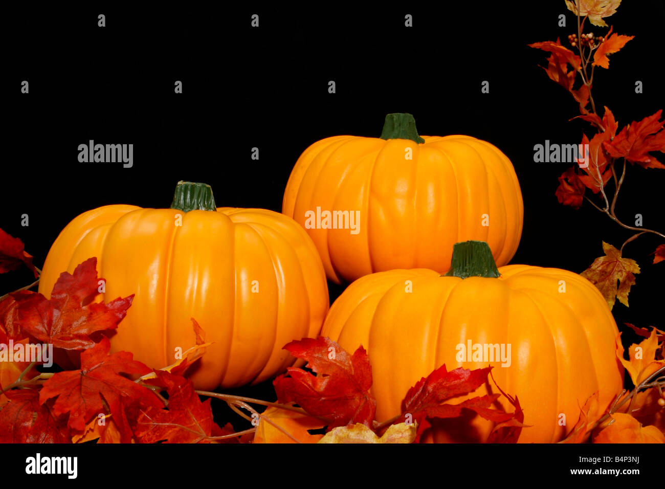 Three bright orange pumpkins arranged together on a black background ...