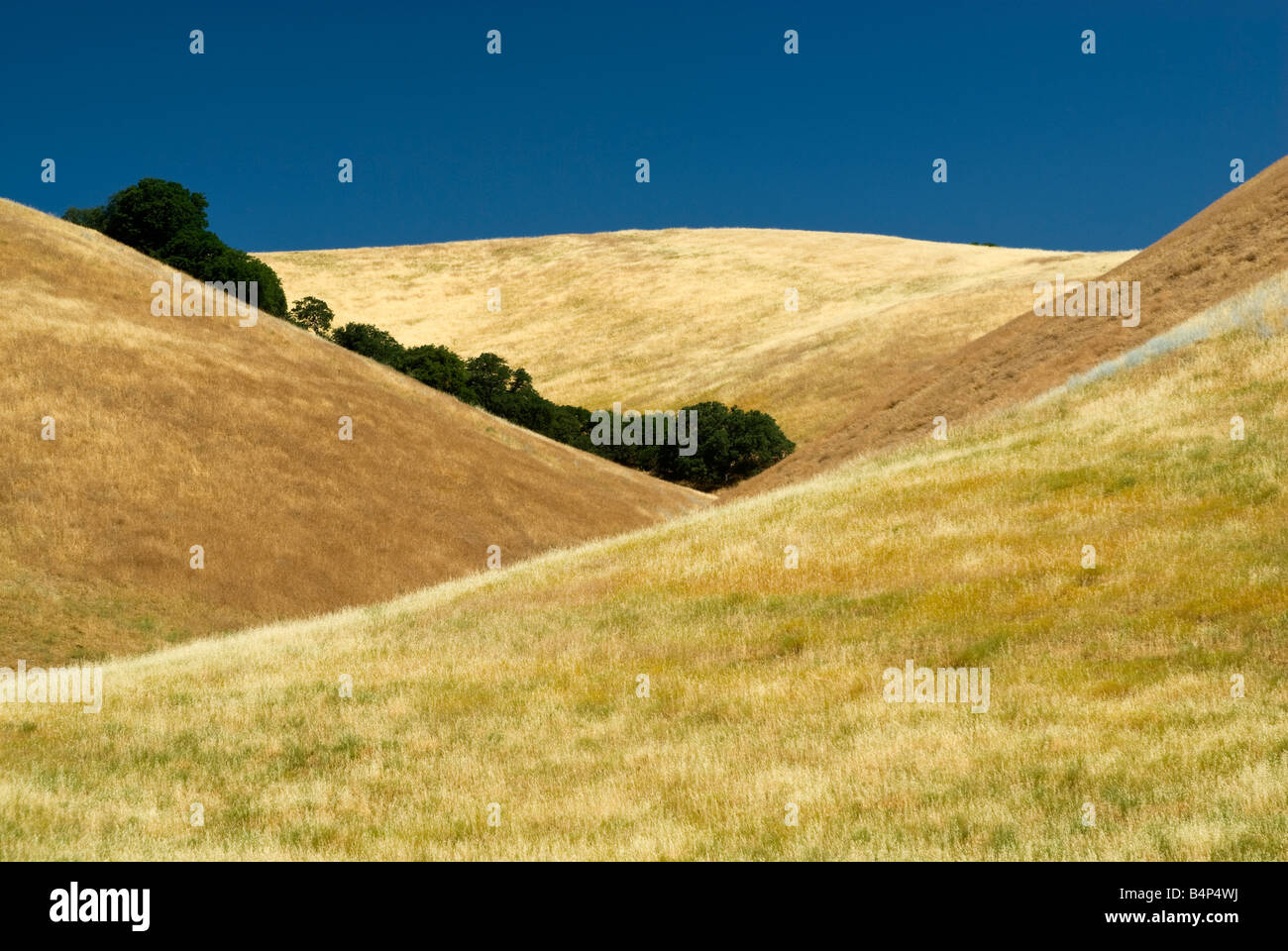 Hills near Lockwood Coastal Ranges California USA Stock Photo Alamy