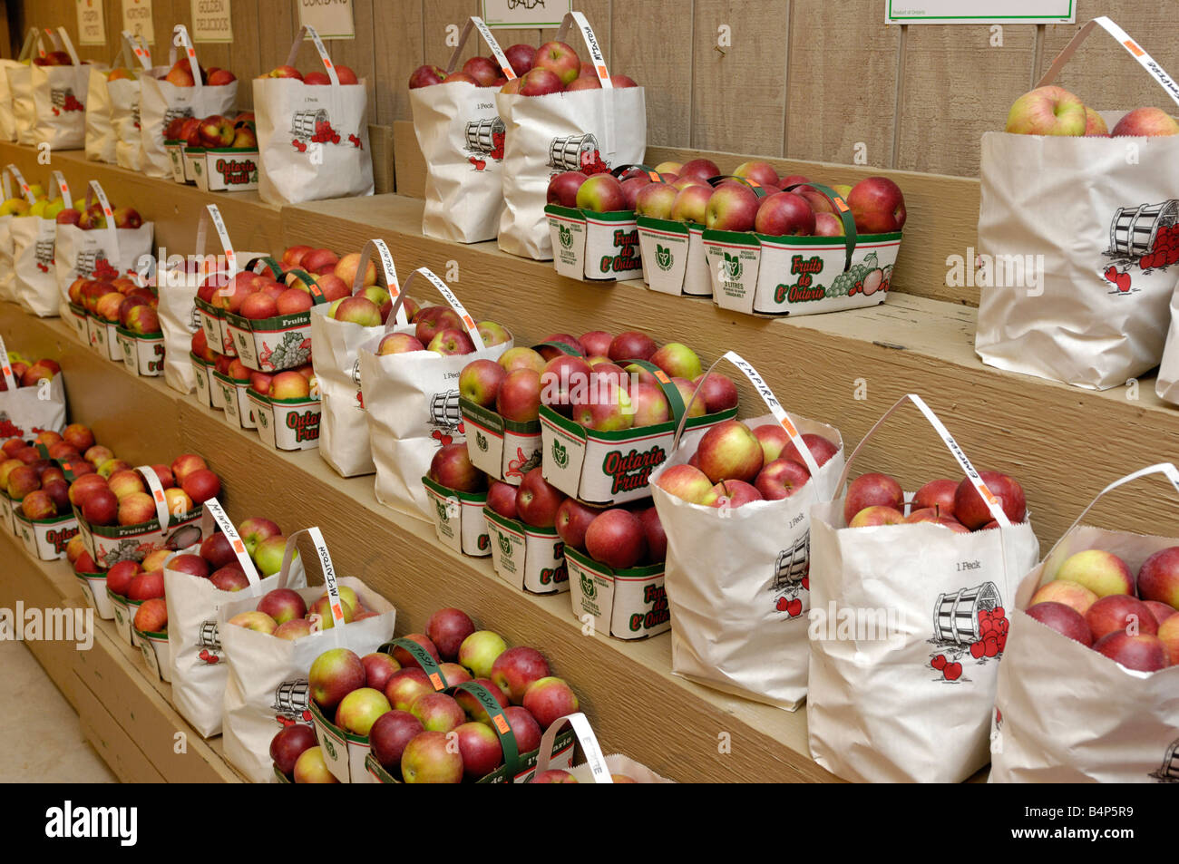 Organic Mcintosh apples on a farm market Stock Photo