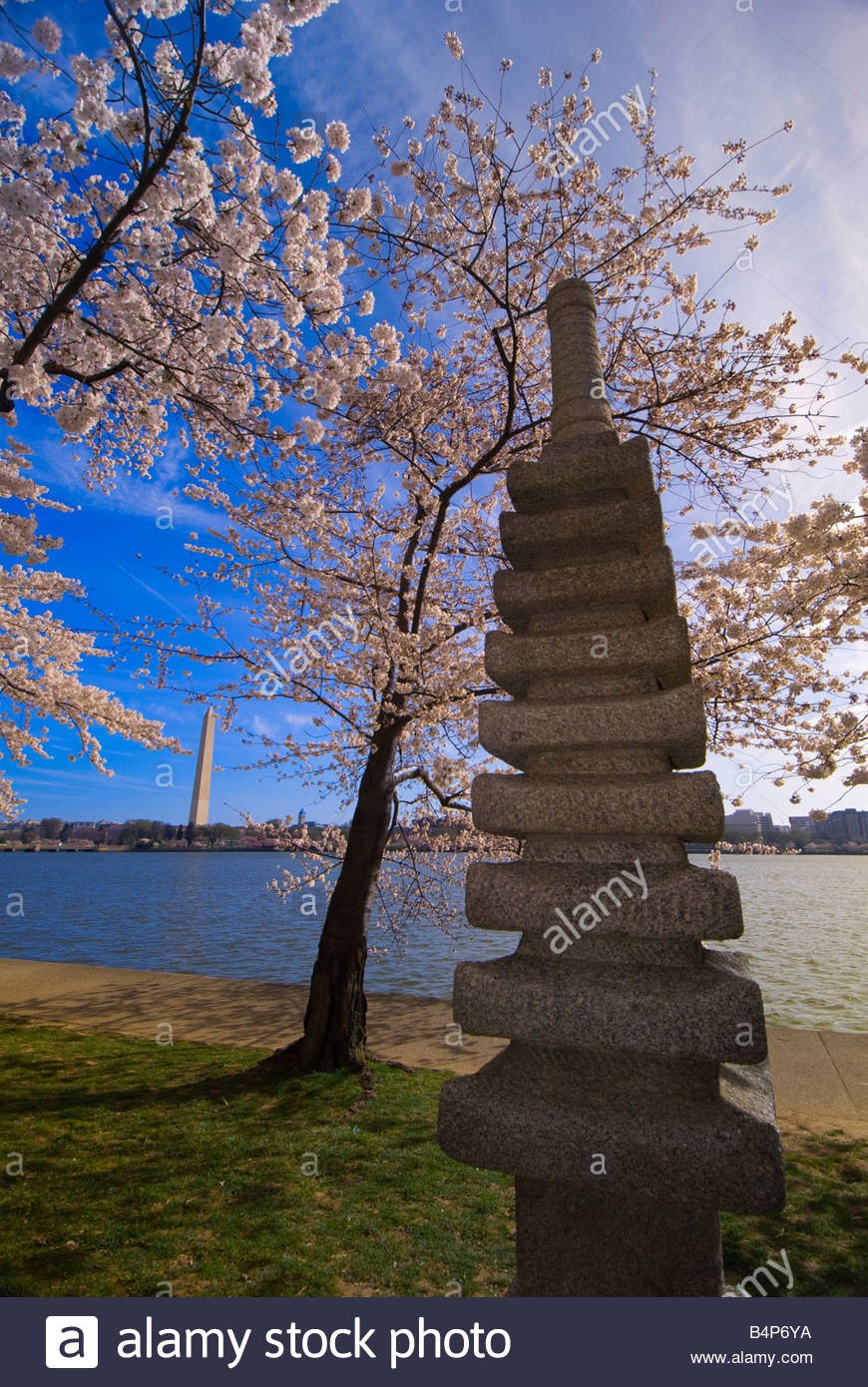 6 cherry tree walk pagoda stock photos pagoda stock images alamy 6 cherry tree walk pagoda stock photos pagoda stock images alamy