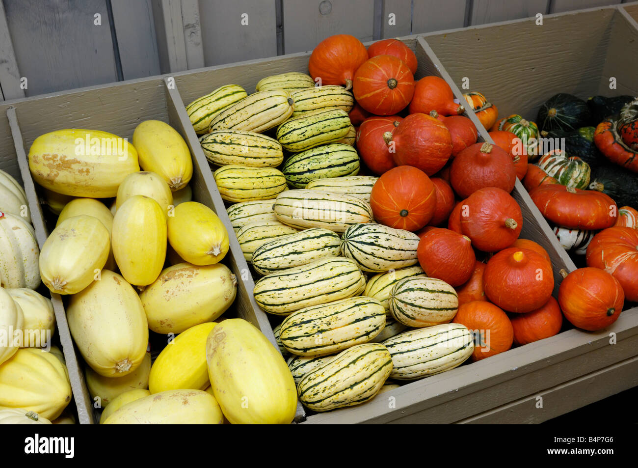 Different sorts of squash on farm market stall Stock Photo