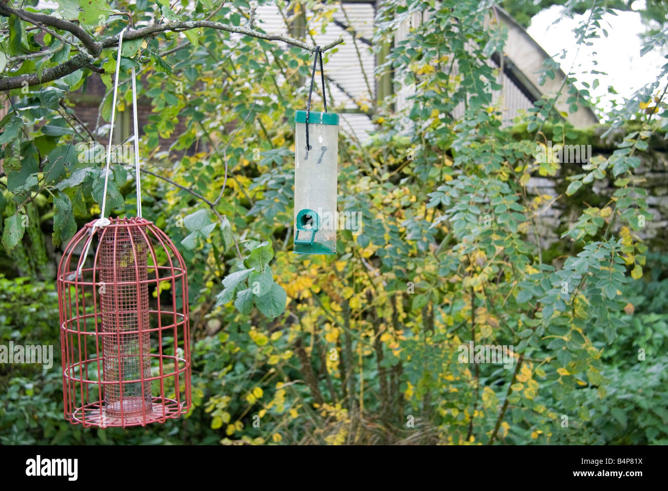 2 empty bird feeders Stock Photo Alamy