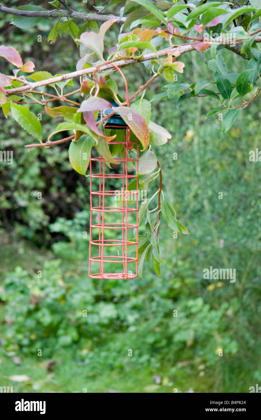 An empty bird feeder Stock Photo Alamy