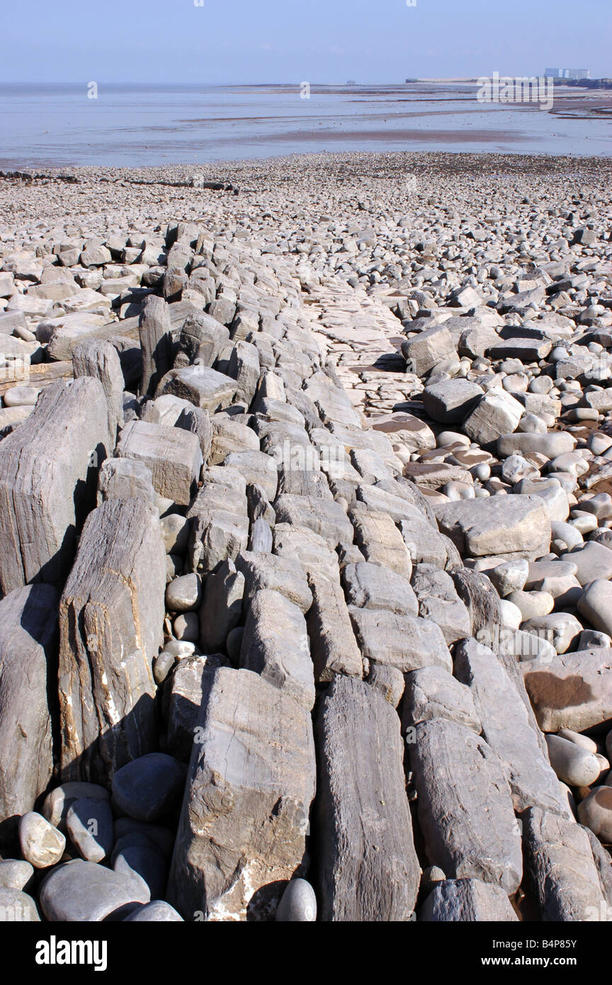 A geological SSSI on Kilve Beach in North Somerset with limestone platforms Stock Photo