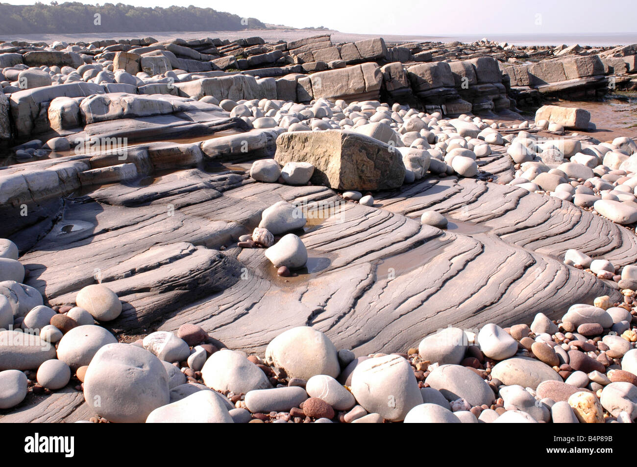 A geological SSSI on Kilve Beach in North Somerset with limestone platforms Stock Photo