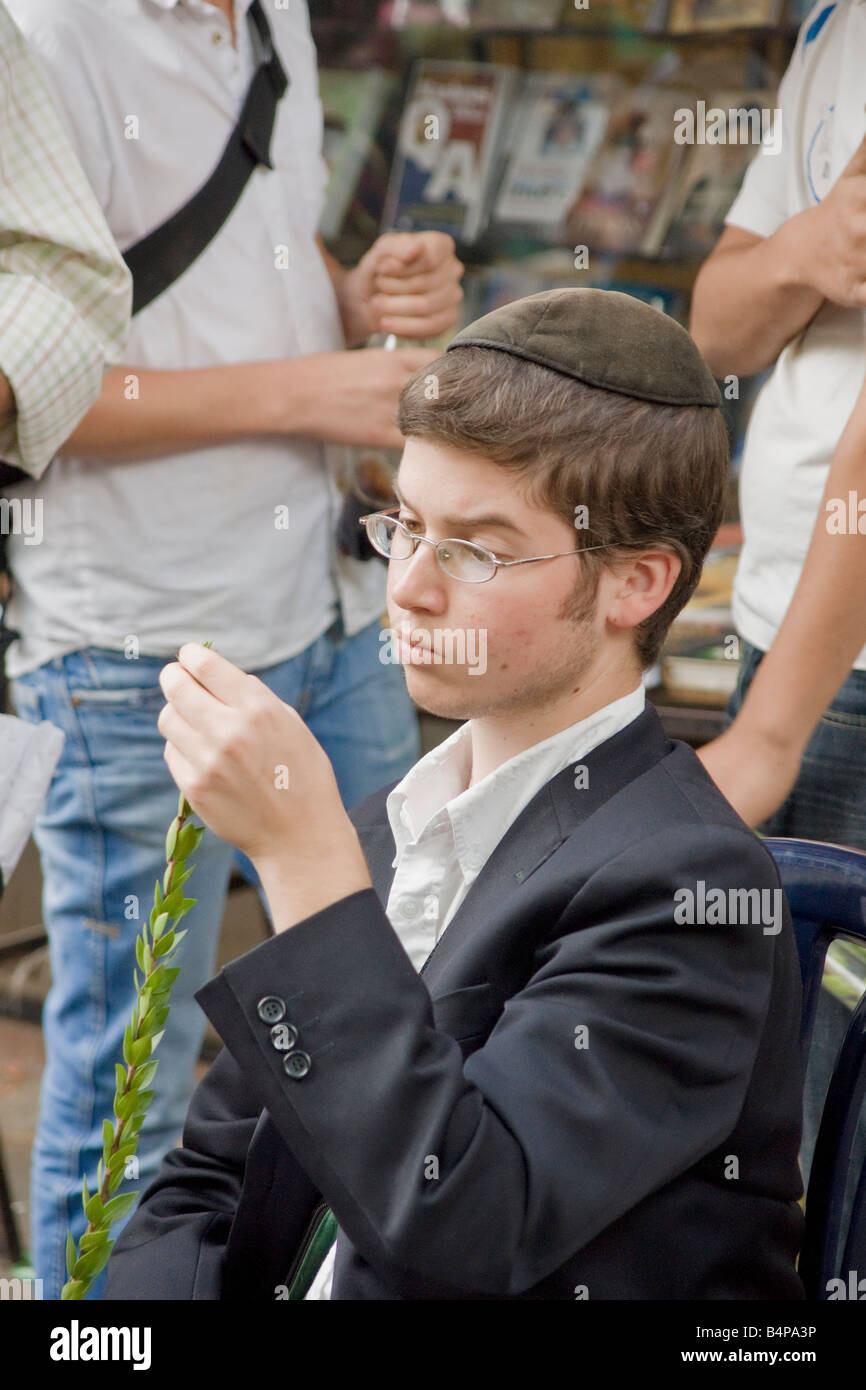 Jerusalem, Israel. A boy checks a myrtle branch for a ritual in the Jewish Holiday of Sukot. Stock Photo