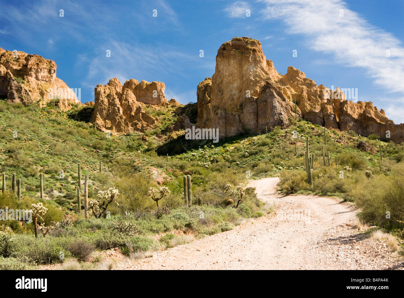 scenic view of the Sonoran desert wilderness in Arizona Stock Photo