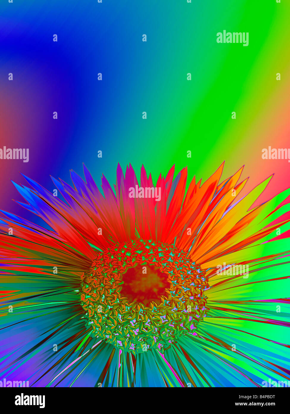 Illustration of flower head Stock Photo Alamy