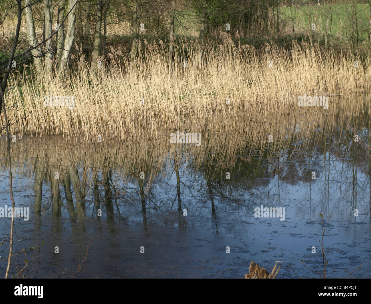 River reflecting hi-res stock photography and images - Alamy