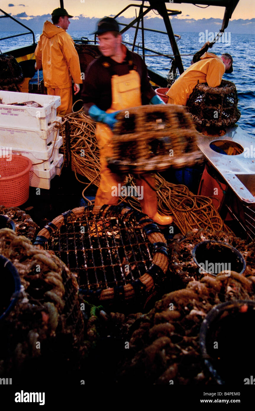 Crab fishing off South West coast of Devon England UK Stock Photo - Alamy