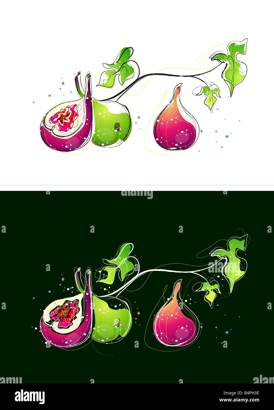 Representation of figs Stock Photo Alamy