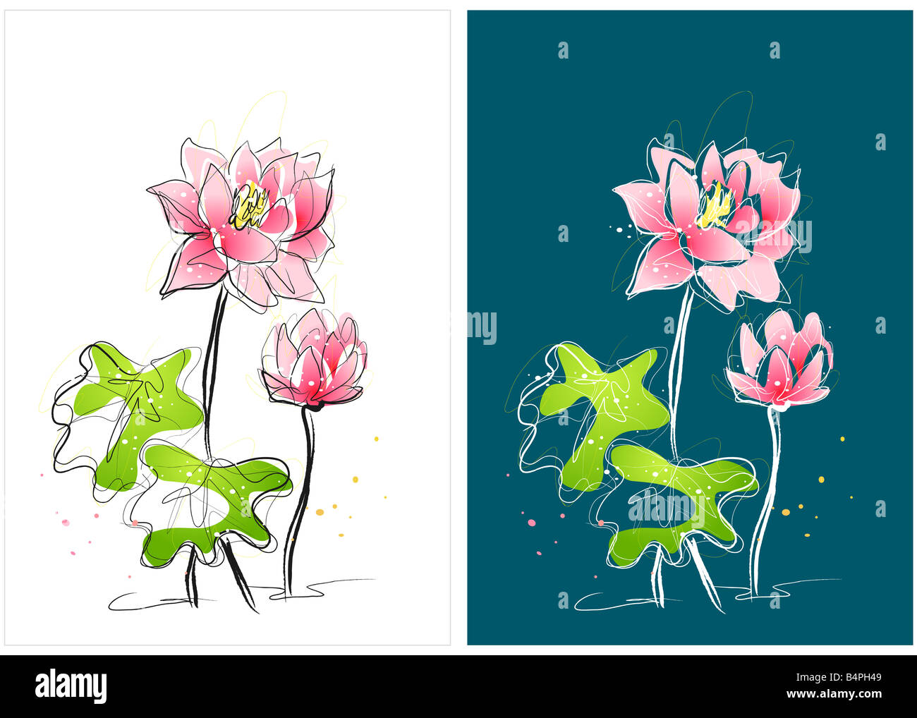 Representation of lotus flower Stock Photo Alamy