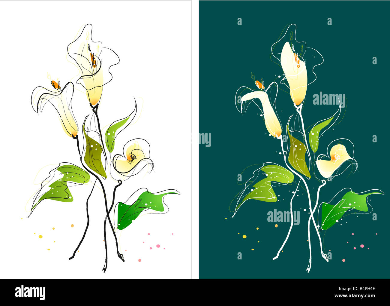 Representation of lily flowers Stock Photo Alamy