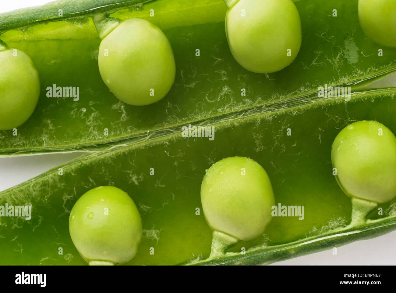 Pea Pod Inner Peas in pod Stock Photo - Alamy