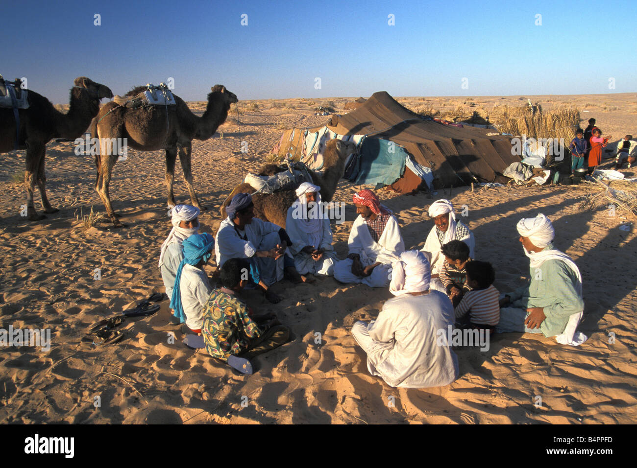Bedouin tent camel hi-res stock photography and images - Alamy