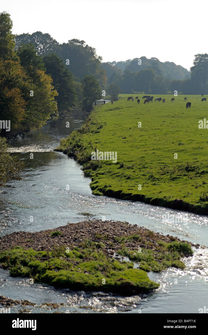 RIVER OTTER NEAR OTTERY ST MARY DEVON Stock Photo