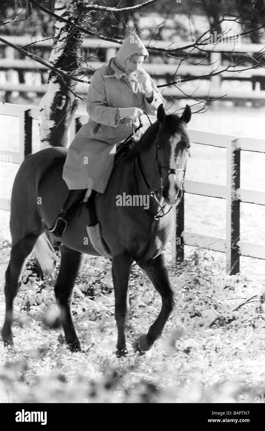 Queen Elizabeth ll Jan 1981 Who rides every day at her Sandrngham Estate didn t let the snow stop her today Stock Photo