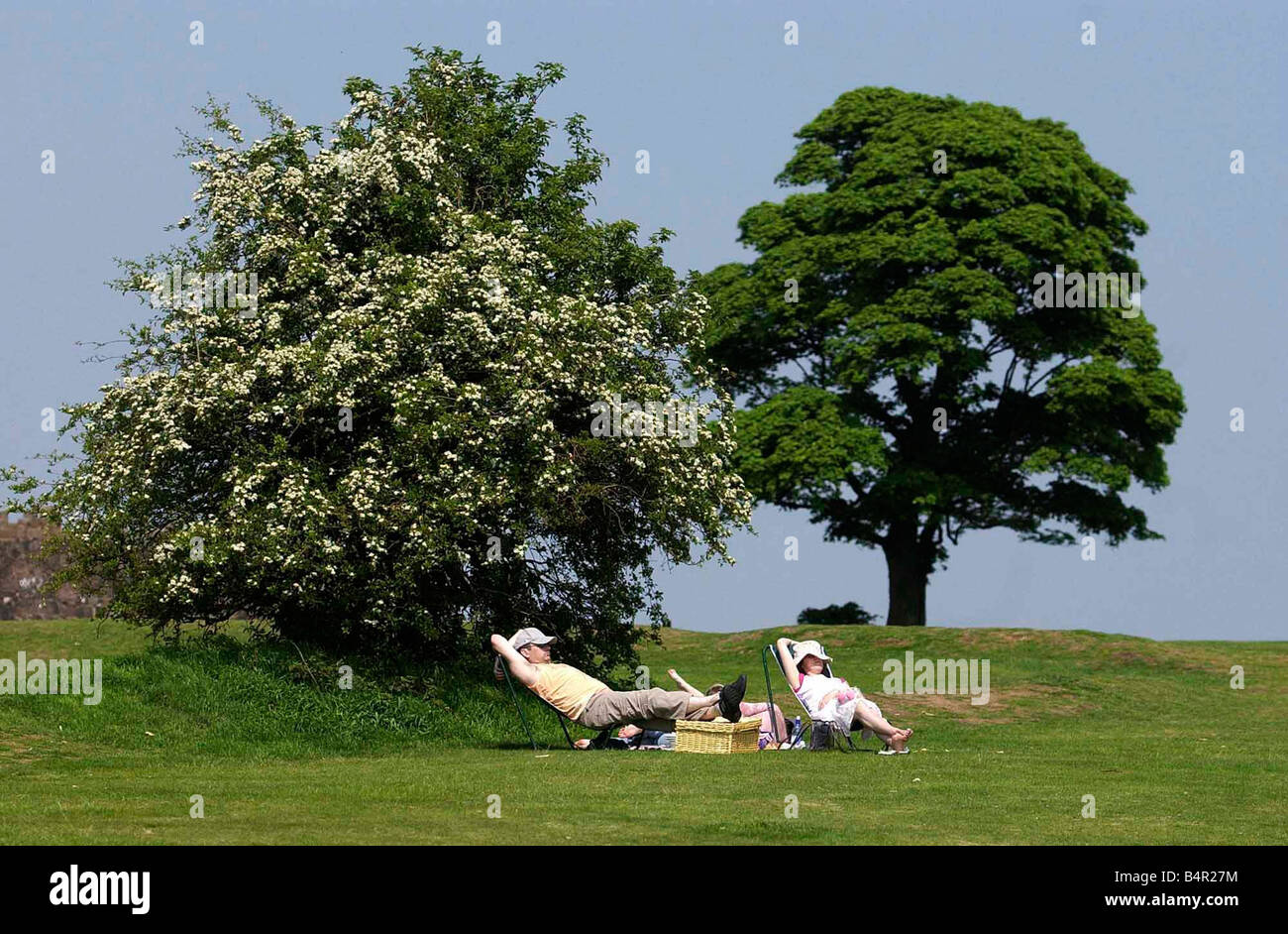 Lazy hazy days of summer are here at last and two picnicers in the Lickey Hills Country Park, Birmingham make the most of the hot spell of weather. Stock Photo