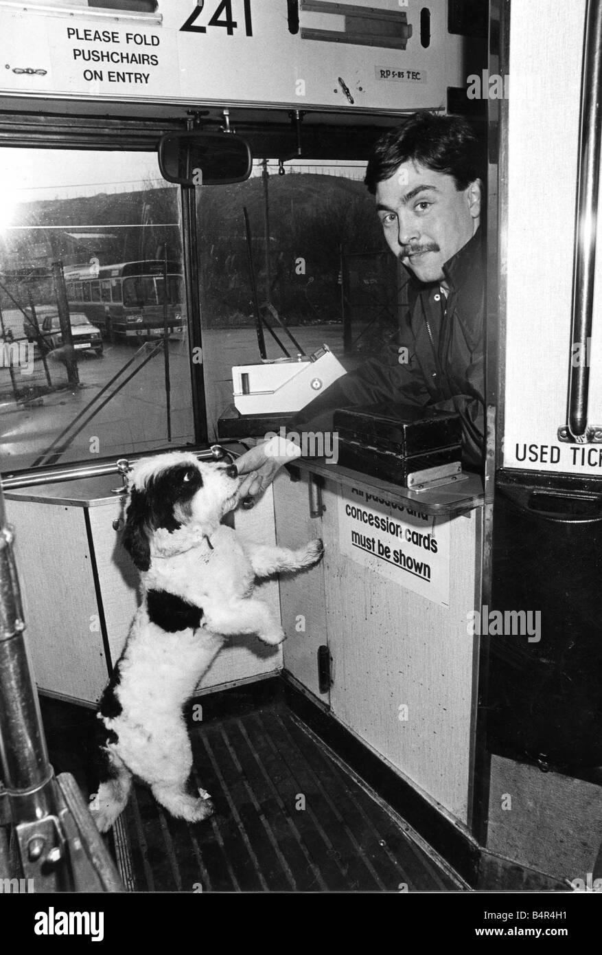 Sweep the dog getting his Rover ticket from driver Ian Prosser 17th March1987 Stock Photo